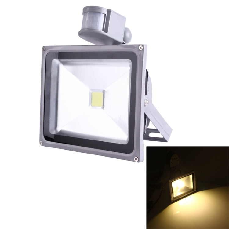 LED5010WW.jpg@8b74837baa3f37b6b7690f766ea7ea7d