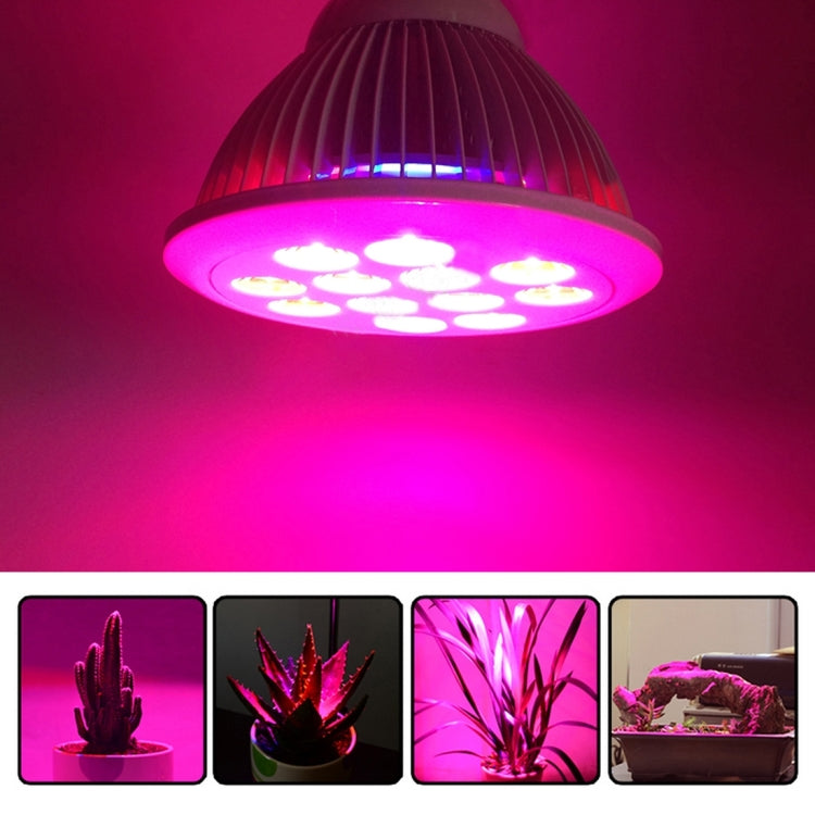 LED6173.jpg@28d7011703940015017acc7c5458207e