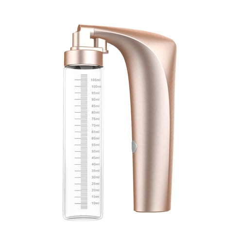 Handheld High Pressure Oxygen Injector Portable Large Spray Facial Moisturizer Household Moisturizing Beauty Equipment, Colour: Electroplated Gold