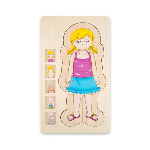 Onshine Five-Layer Human Body Structure Puzzle Wooden Puzzles For Children Physical Cognition(Girl)