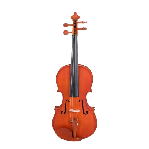 Colored Maple Wood Violin Beginner Practice Violin